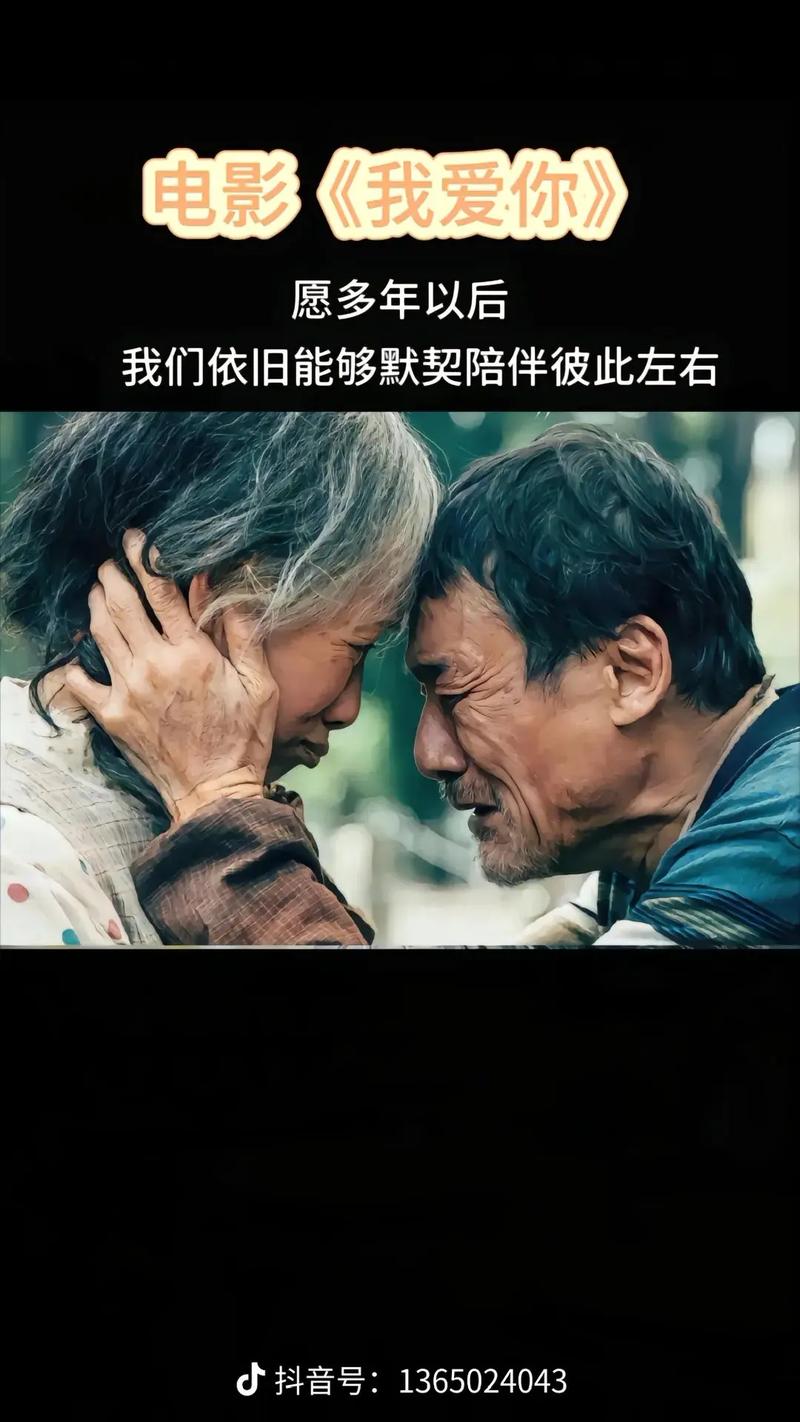 感人视频