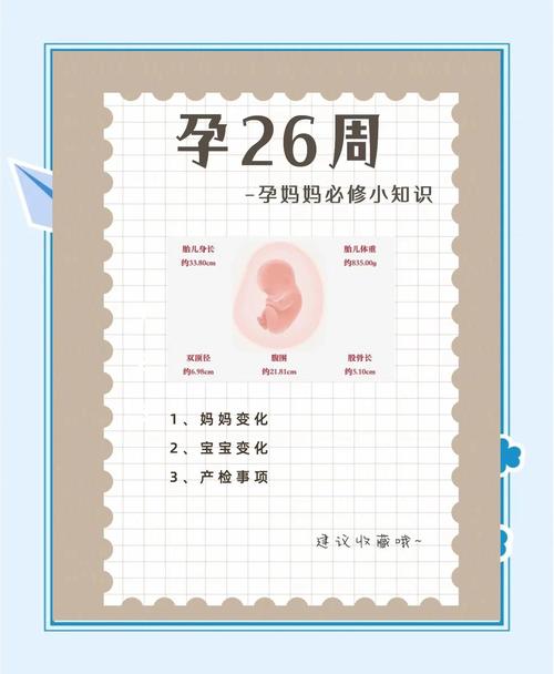 怀孕26天