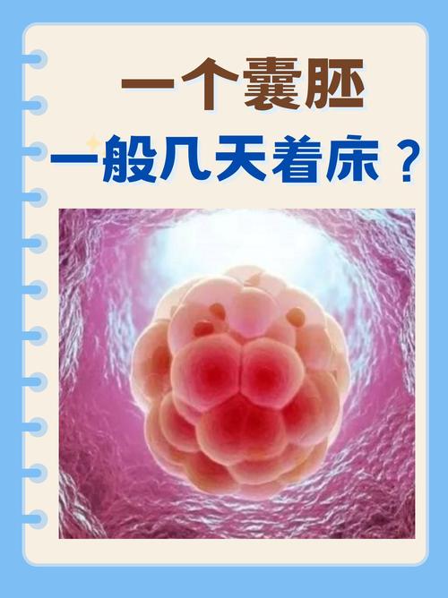 胚囊条件