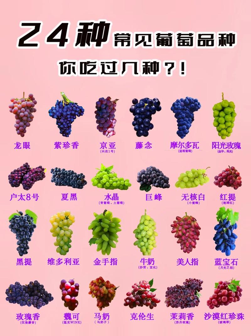 葡萄种类