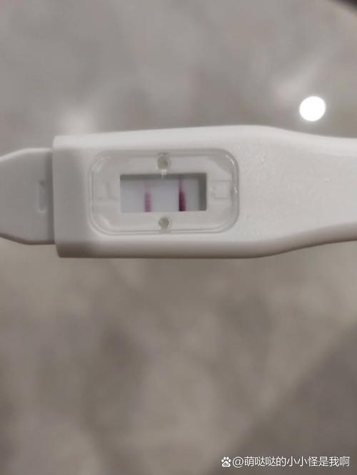 假阳性结果