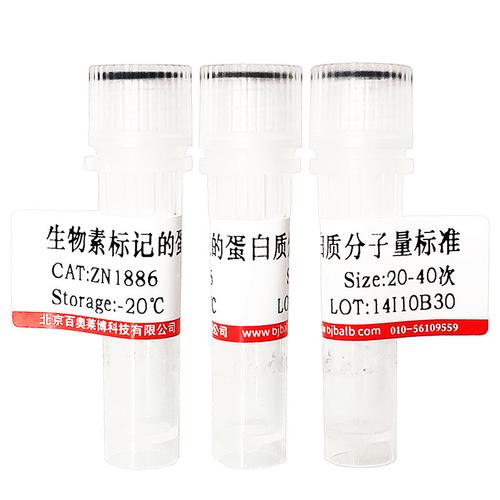  促性腺激素释放激素拮抗剂