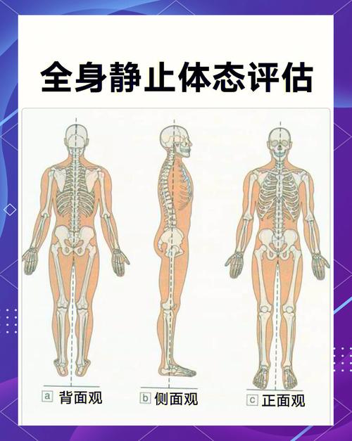 身体评估