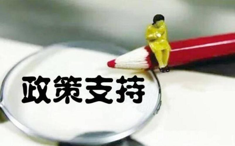 国家政策