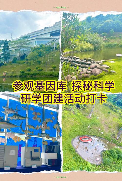 基因之旅