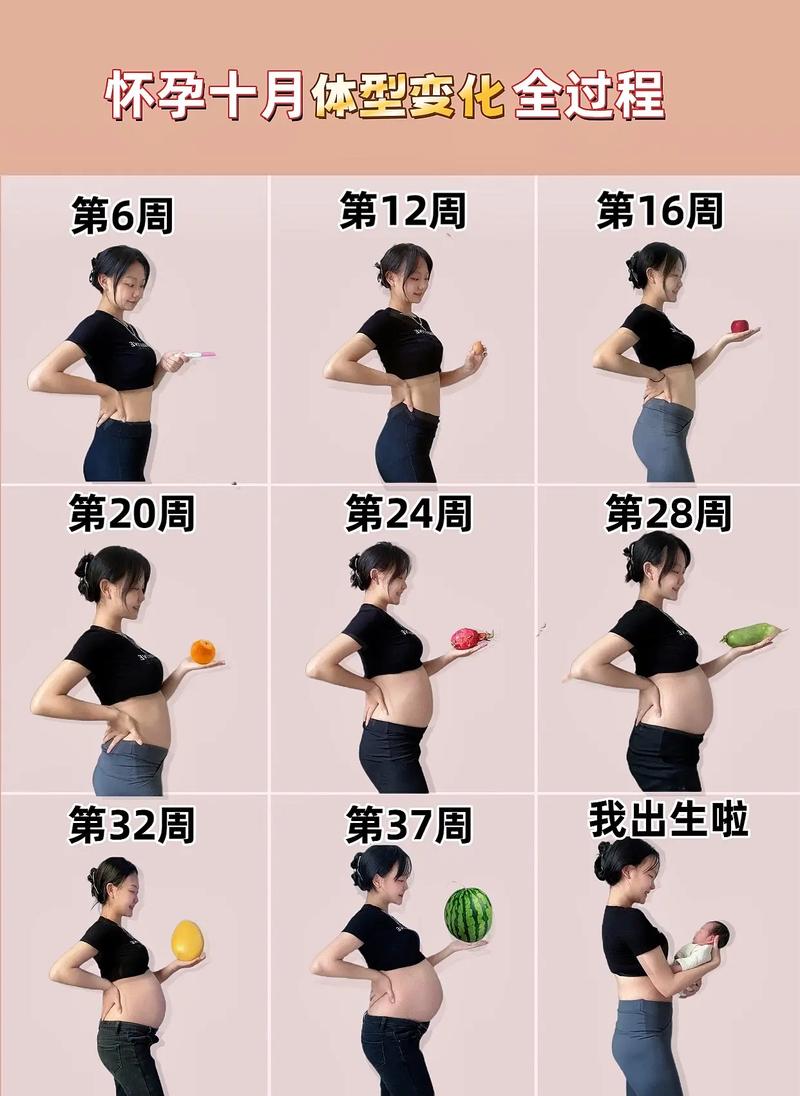  孕期变化