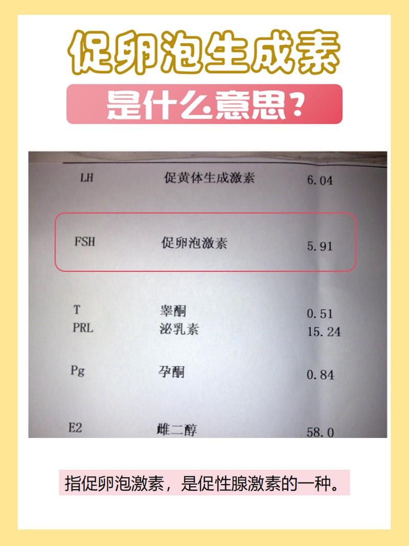  促卵泡生成激素