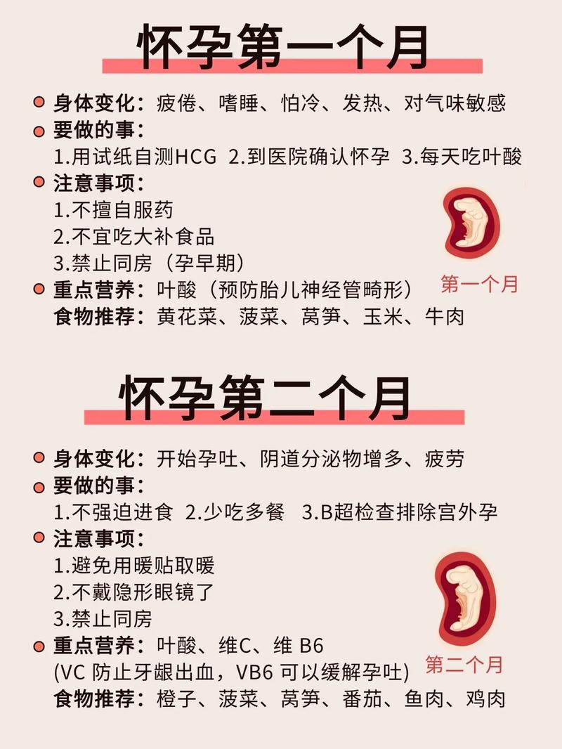 受孕注意事项