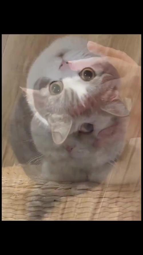 滑稽瞬间