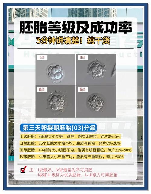 区分胚胎优劣技术