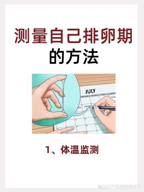 排卵监测