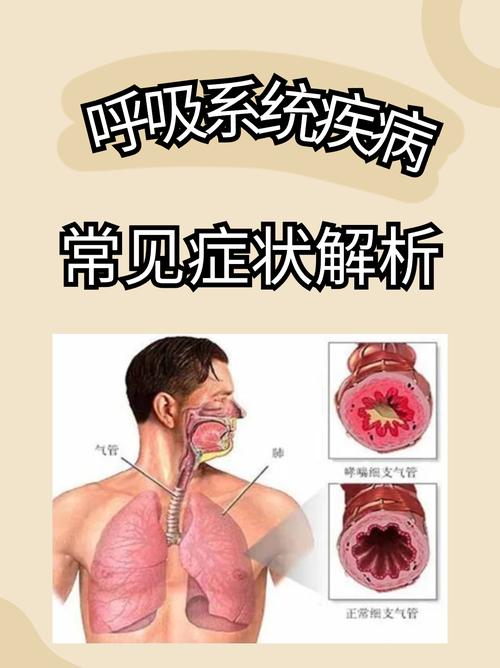 呼吸系统问题