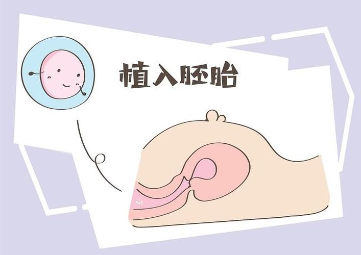 排卵期移植