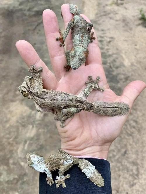 珍贵瞬间