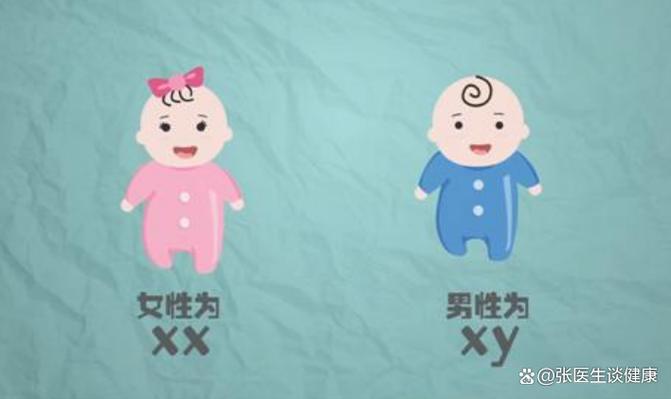 试管婴儿的性别比例：女性占比是否更高？