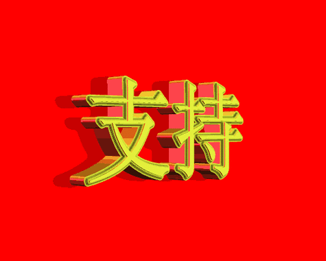  支持