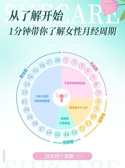 经期计算