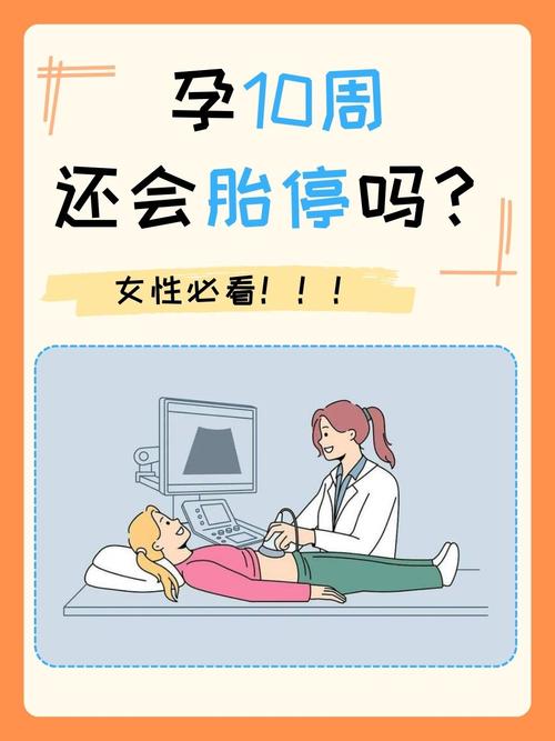  胎儿停止发育