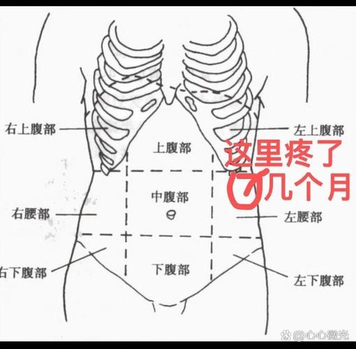 左腹酸疼