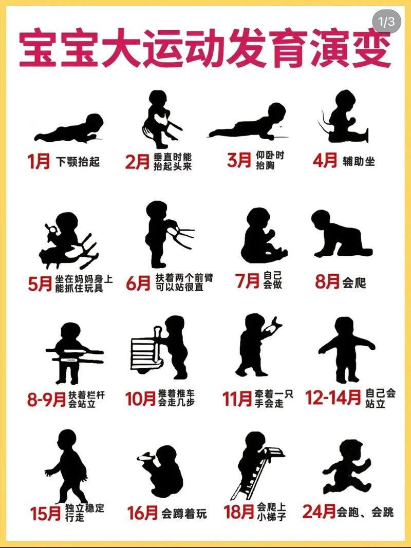 发育辨别