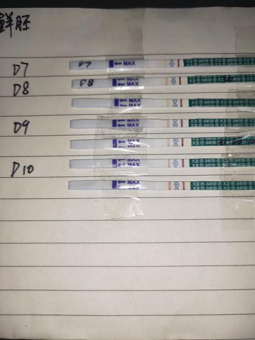 试管婴儿移植后能否通过尿检获知结果？