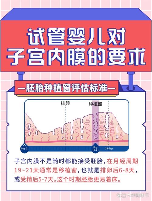内膜厚度0.75，试管婴儿成功率如何？