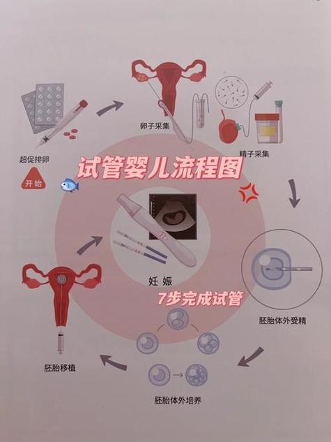 试管婴儿视频指南
