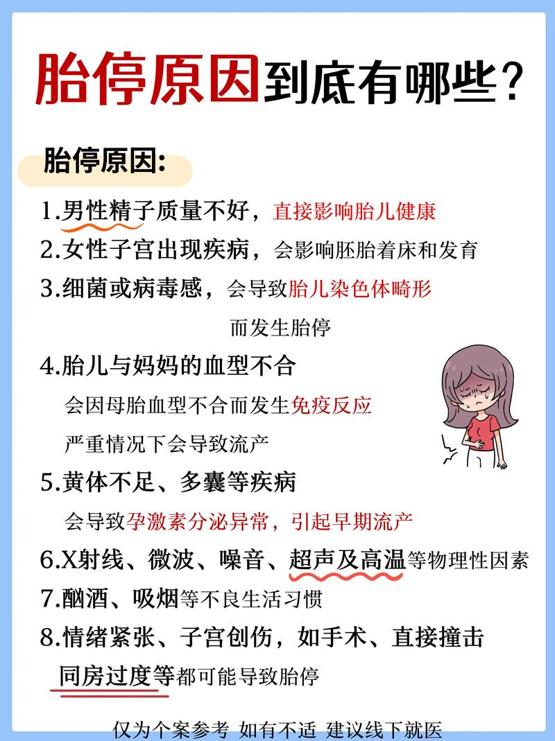  停胎原因