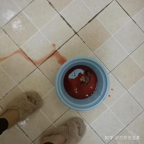 十二周流产