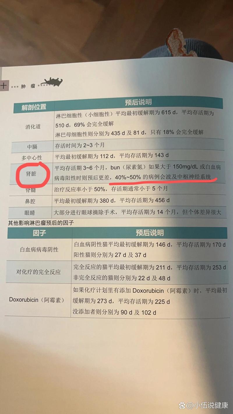  存活期