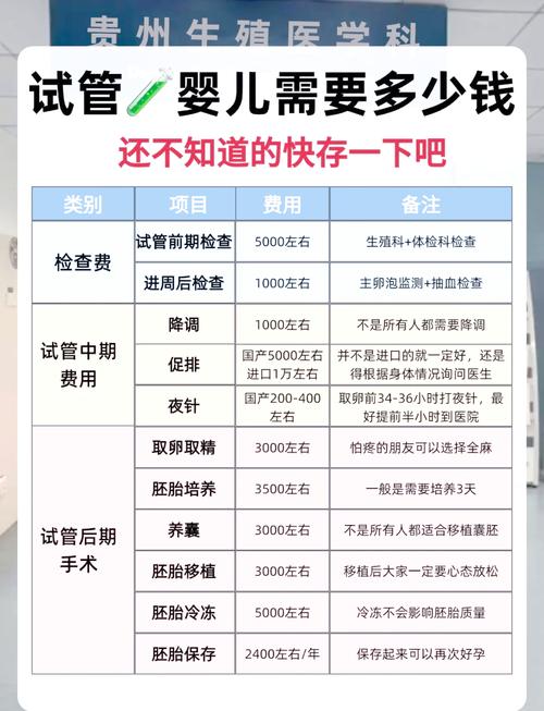 全面解析试管婴儿费用明细及支付选项详解