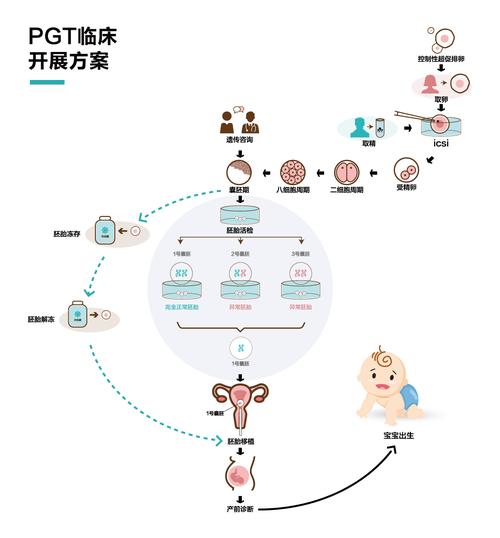 设计试管婴儿技术