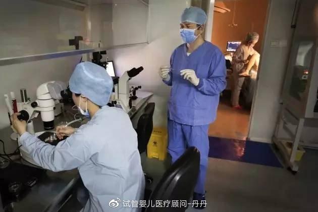 试管婴儿长大后脑瘫的可能性及其影响探讨