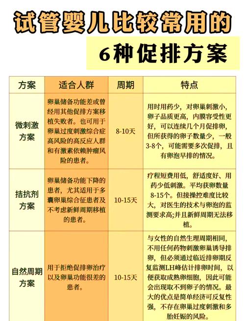 在试管婴儿前进行营养调理：重要性与方法