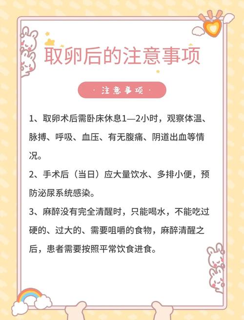 取卵注意事项