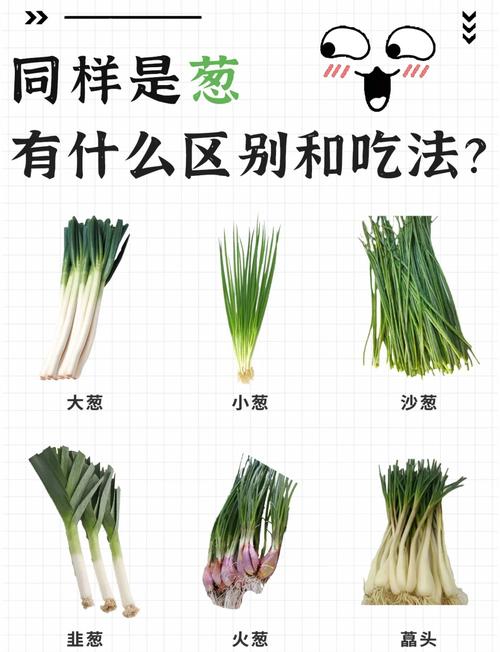 试管婴儿后饮食解析：可以吃葱吗？