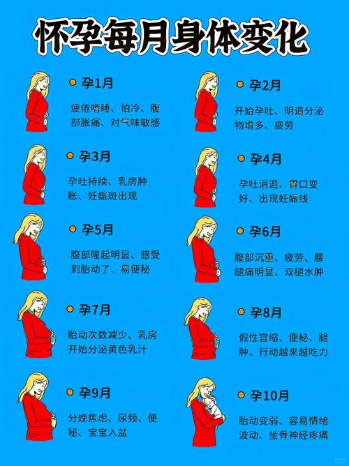  身体变化