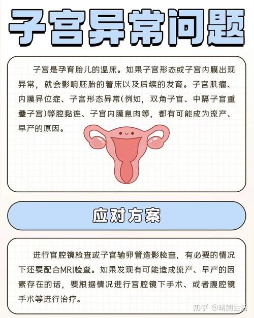 解读试管婴儿停胎的早期预兆及其应对措施