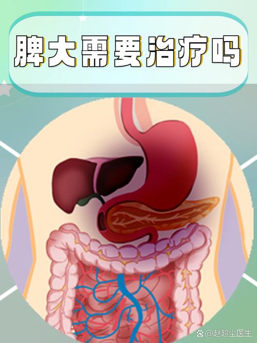 脾大患者能否进行试管婴儿？