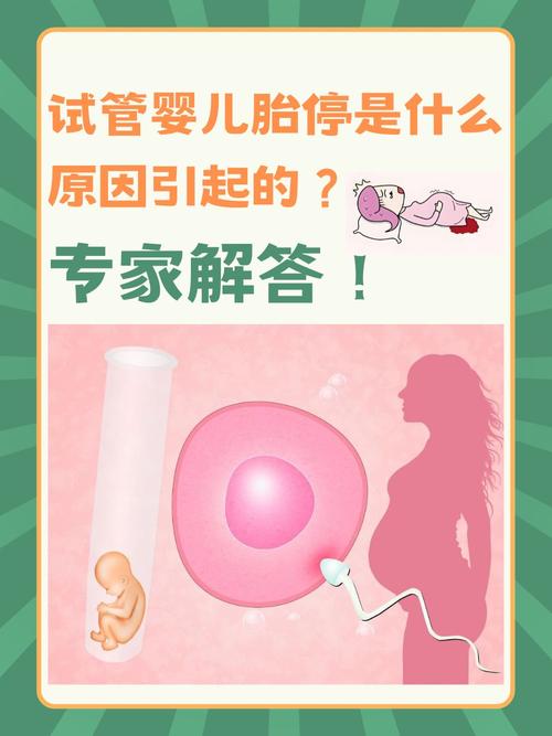 试管婴儿过程中胎停的可能性及其影响解析