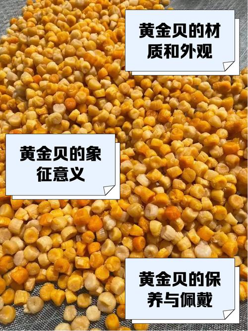 辽宁金贝