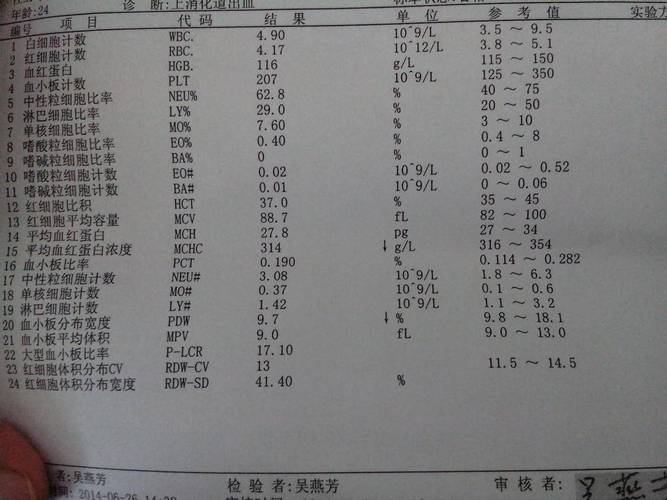 血液测评报告
