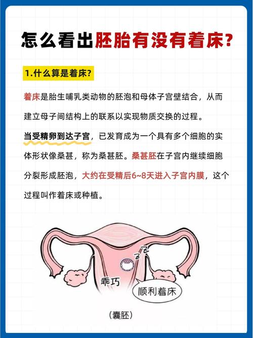 试管婴儿移植后一月内胸部变化的原因揭秘