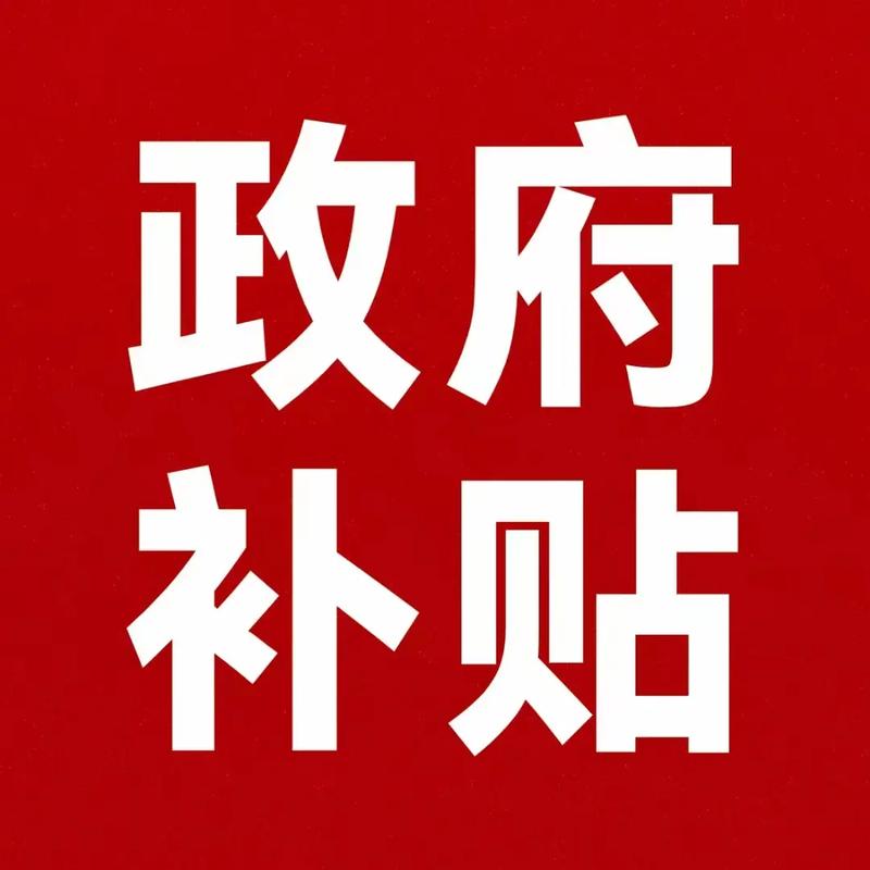  政府补贴