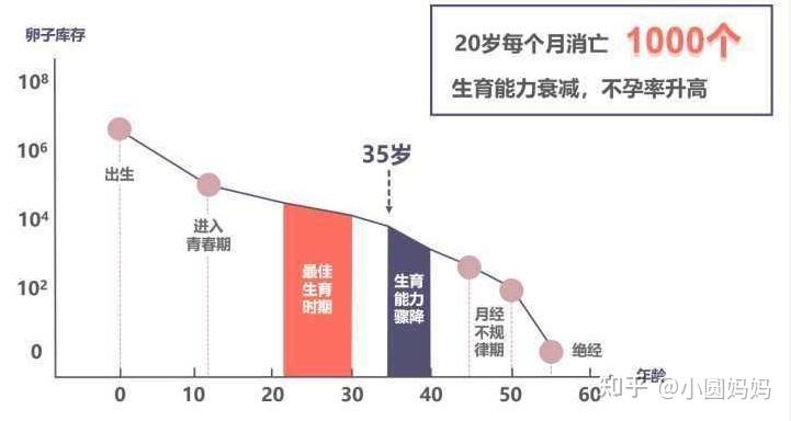 试管婴儿对不同年龄段的准妈妈有啥影响？