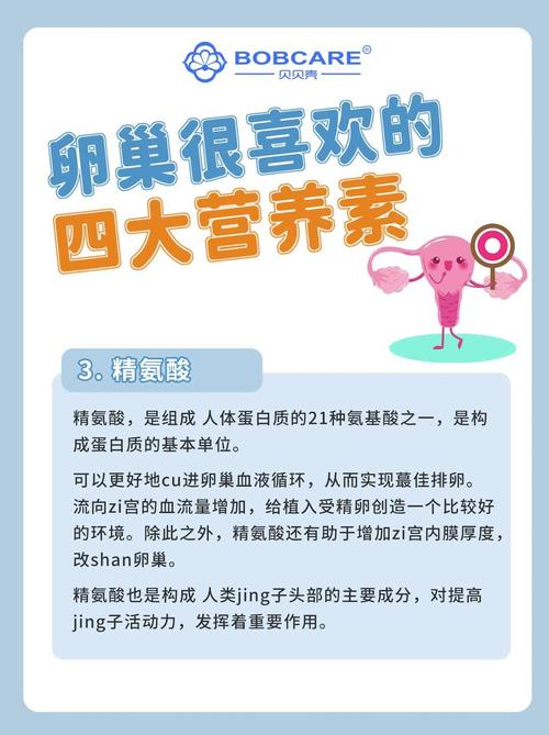 卵巢功能会影响试管婴儿的成功率吗？