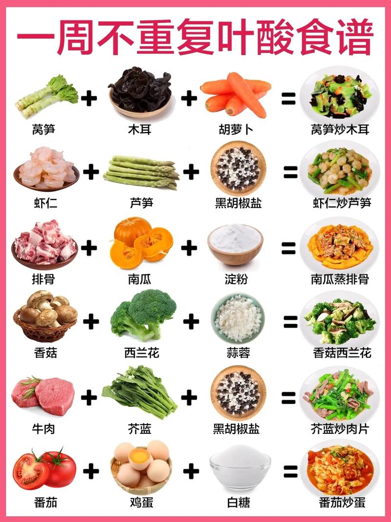 叶酸食谱