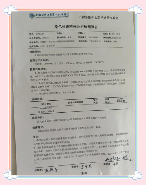 生殖前遗传诊断