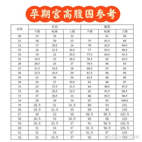 孕期腹围