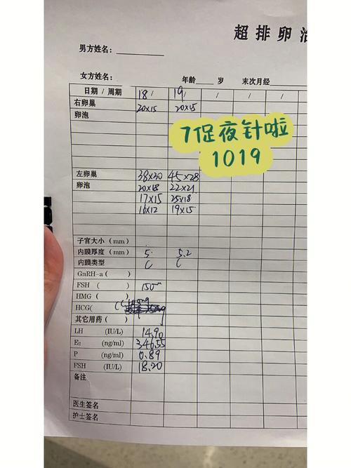 夜针费用